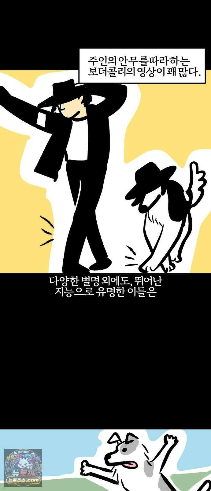 개집사 195화: 돌아온 견종 특집-보더콜리편 4