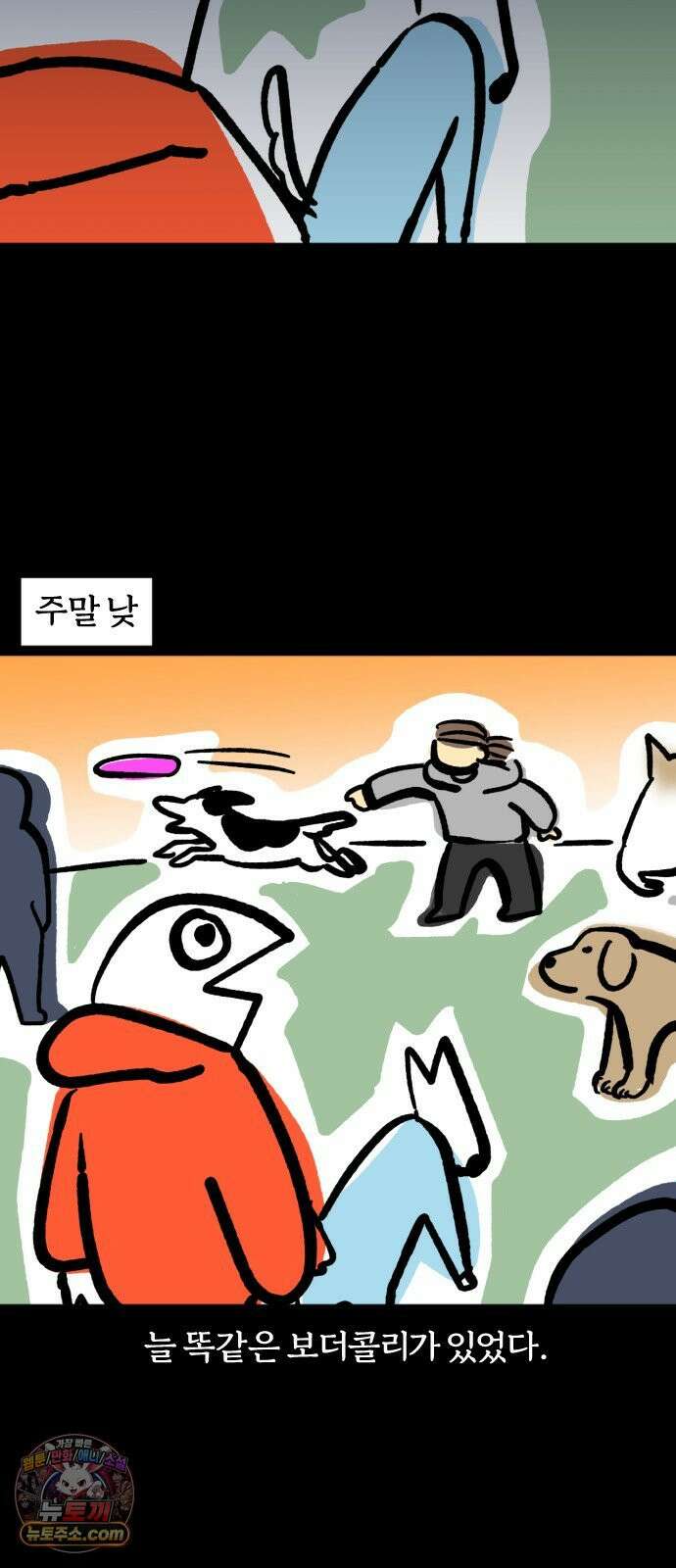 개집사 195화: 돌아온 견종 특집-보더콜리편 8