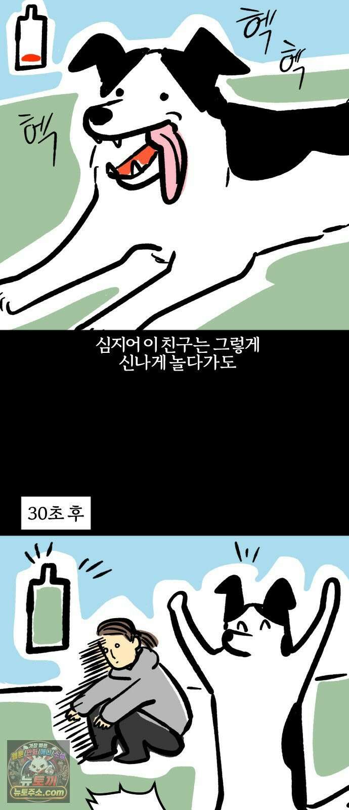 개집사 195화: 돌아온 견종 특집-보더콜리편 12