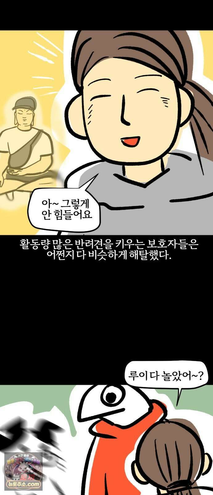 개집사 195화: 돌아온 견종 특집-보더콜리편 14