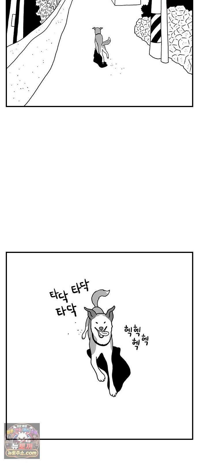 펫로스클럽 ＃34． 마을이의 취향 17