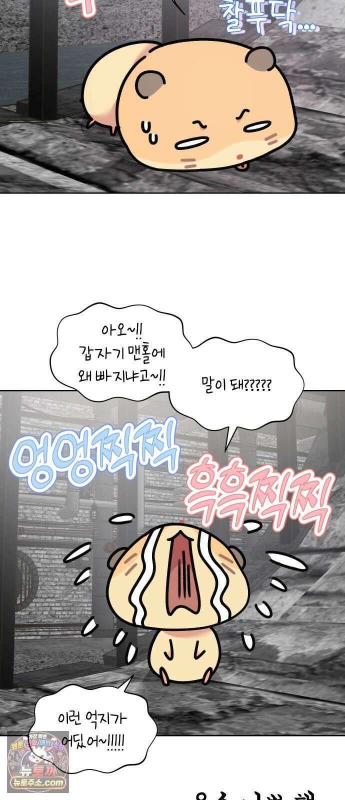 냥냥찍찍! 17화． 출동! 햄순이를 찾아라 17