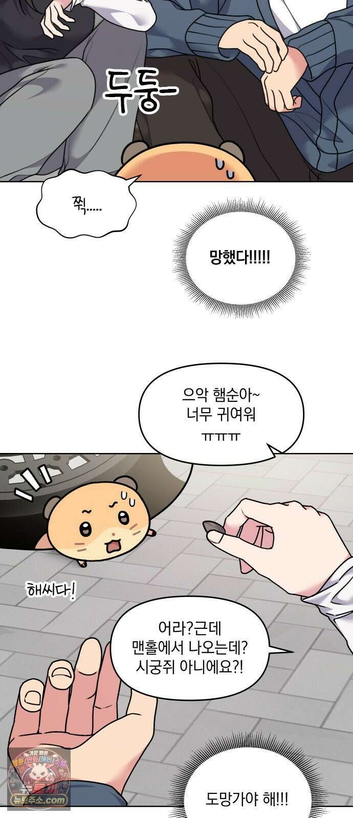 냥냥찍찍! 17화． 출동! 햄순이를 찾아라 20