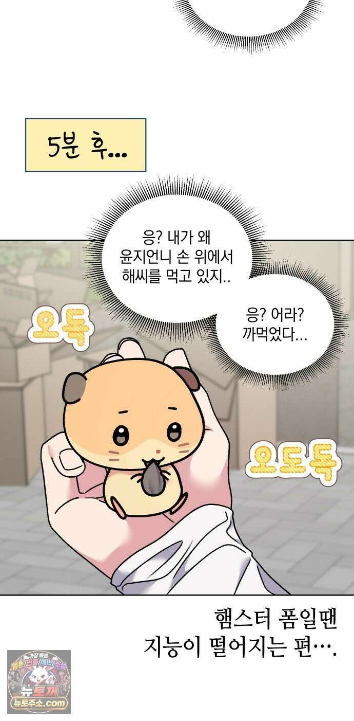 냥냥찍찍! 17화． 출동! 햄순이를 찾아라 21
