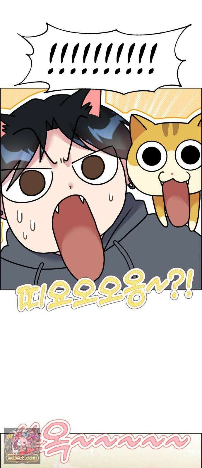 냥냥찍찍! 53화． 당신은 간택당하셨습니다． 13