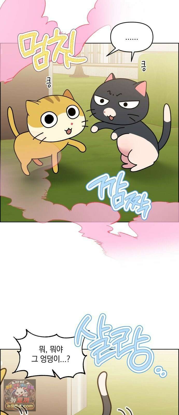 냥냥찍찍! 53화． 당신은 간택당하셨습니다． 29