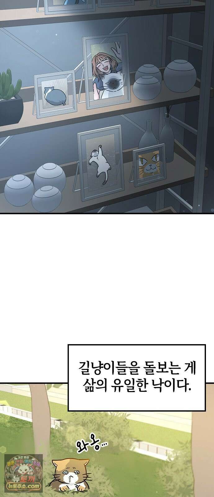 세상 사람들이 모두가 고양이라면 1화 4