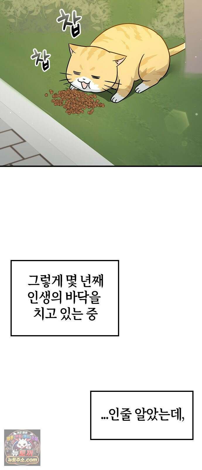 세상 사람들이 모두가 고양이라면 1화 5
