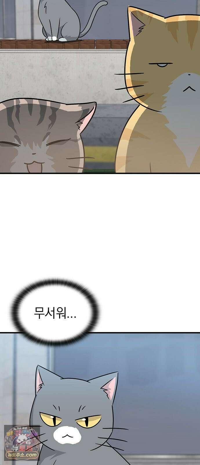 세상 사람들이 모두가 고양이라면 1화 12