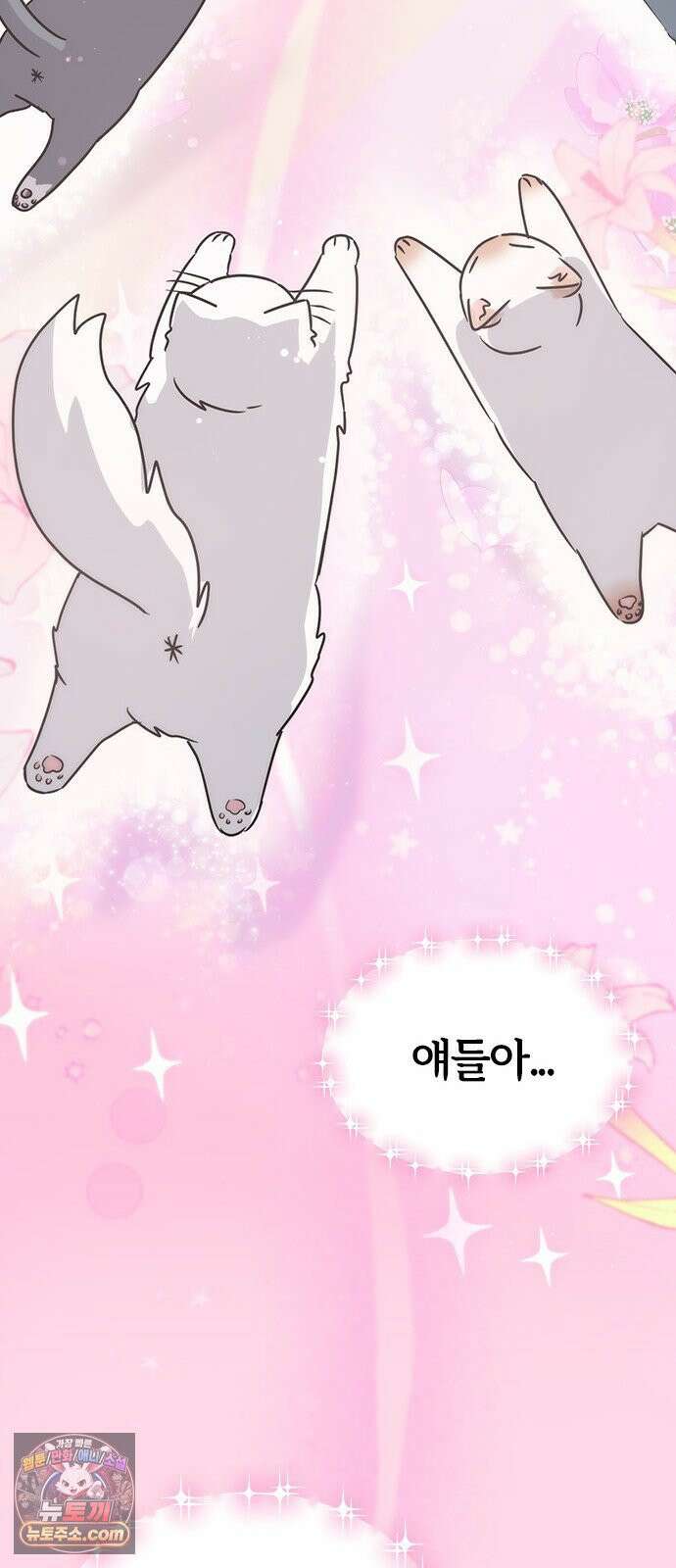 세상 사람들이 모두가 고양이라면 1화 17