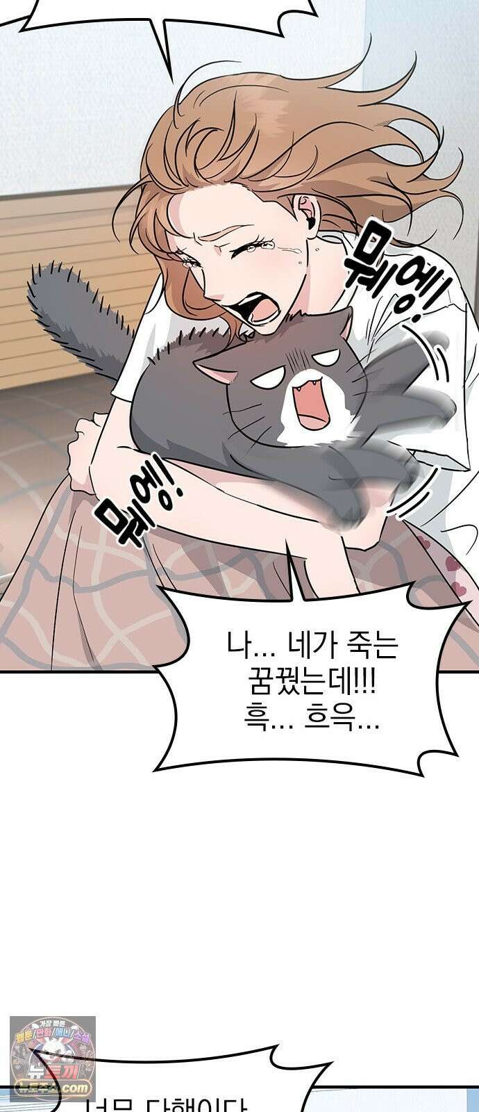 세상 사람들이 모두가 고양이라면 1화 26