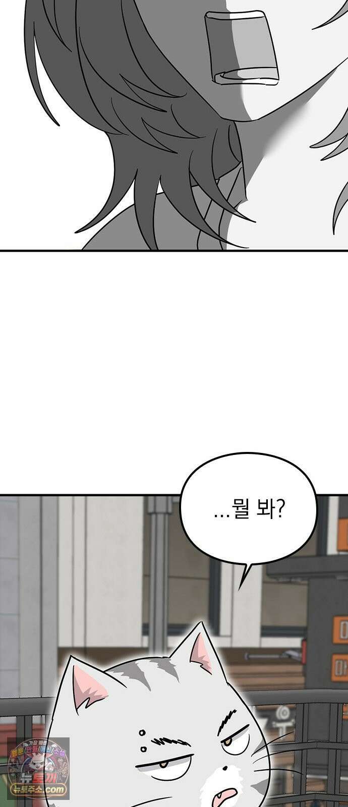 세상 사람들이 모두가 고양이라면 1화 41