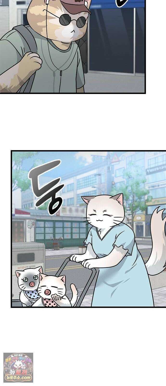 세상 사람들이 모두가 고양이라면 1화 69