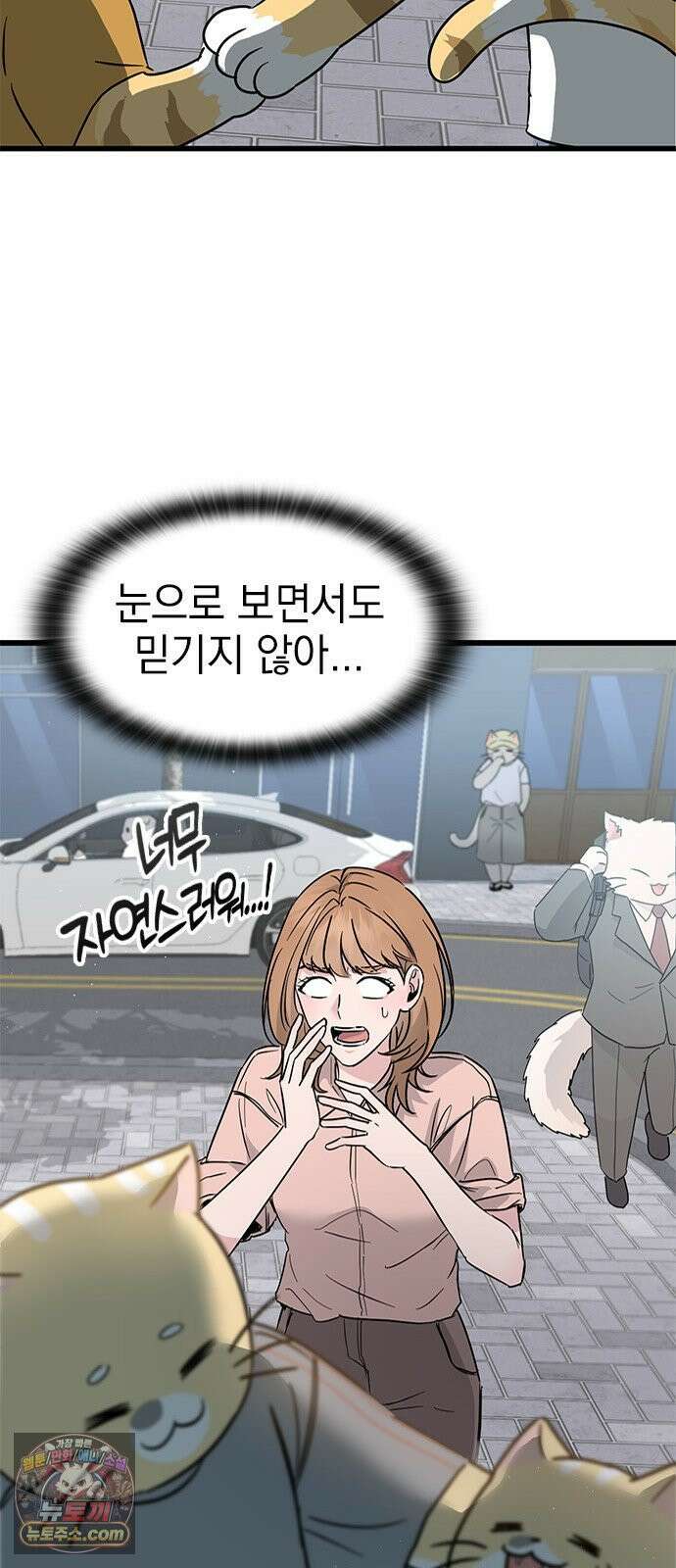 세상 사람들이 모두가 고양이라면 1화 71