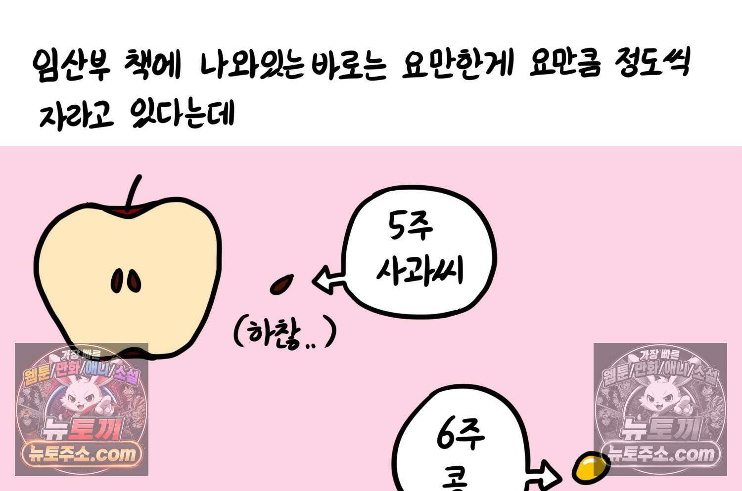재활용 머학생 153화 임신 초기 만화(2) 6
