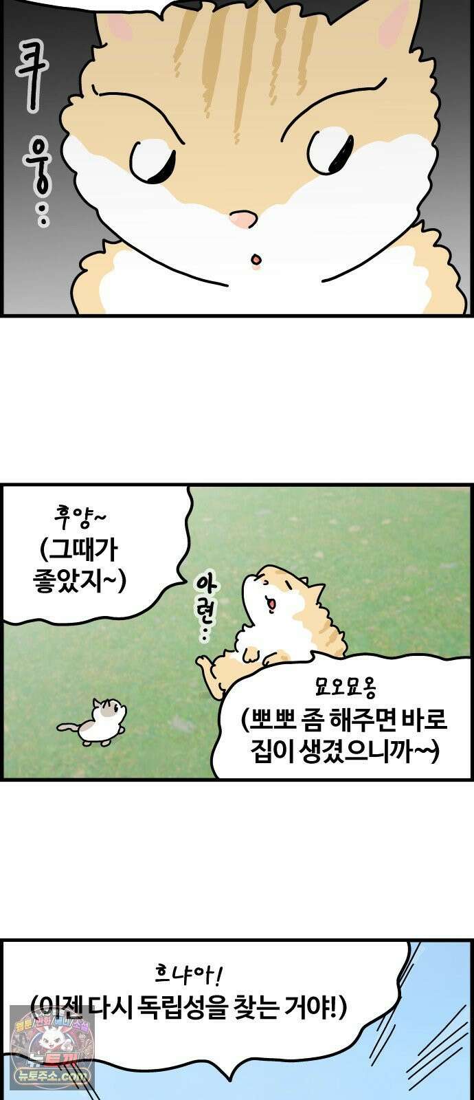 사회초년캣 1화 살려면 해야 되는 일 4