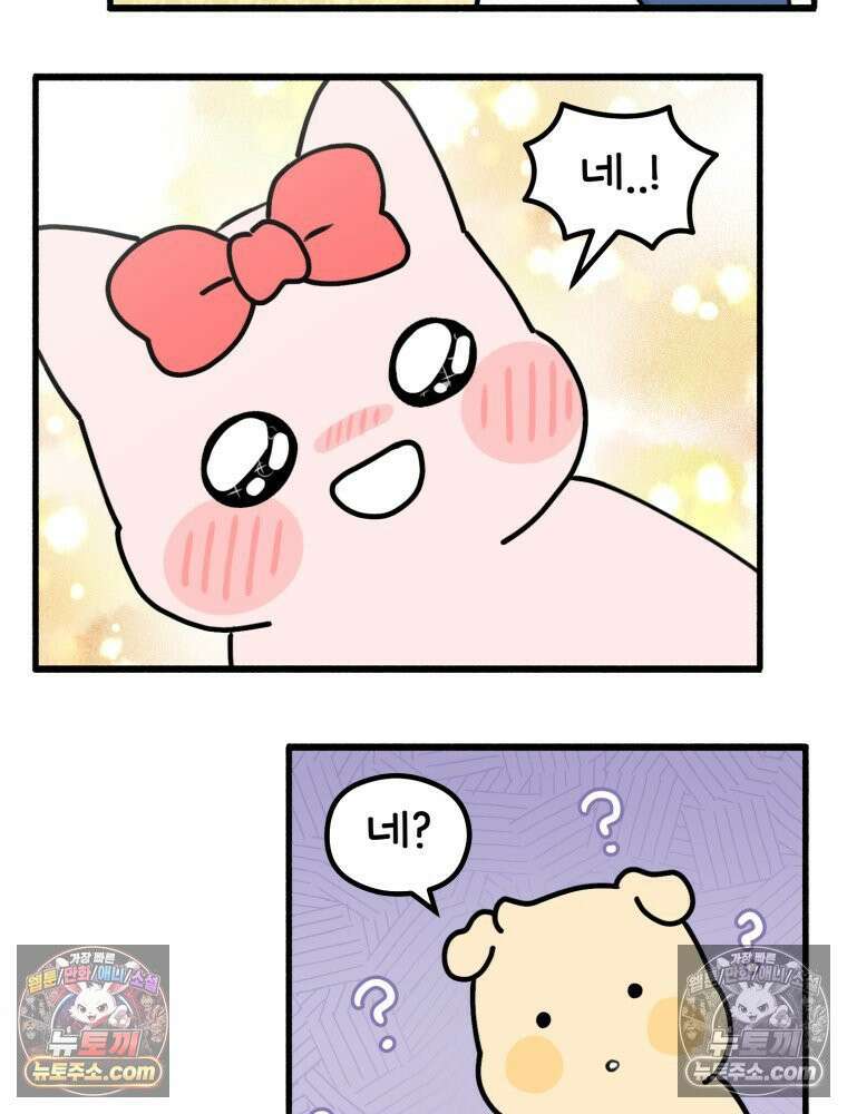 멍냥패밀리 19화 성별 확인 31