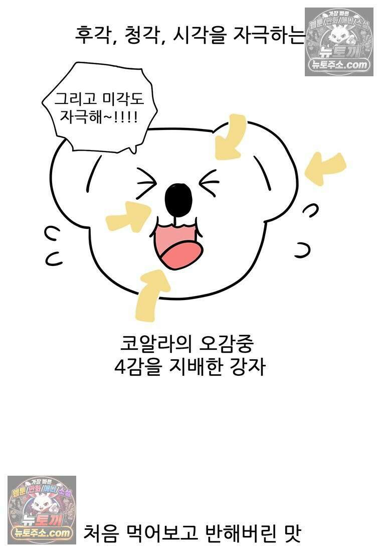 코알랄라 161화 소고기후추볶음밥 8