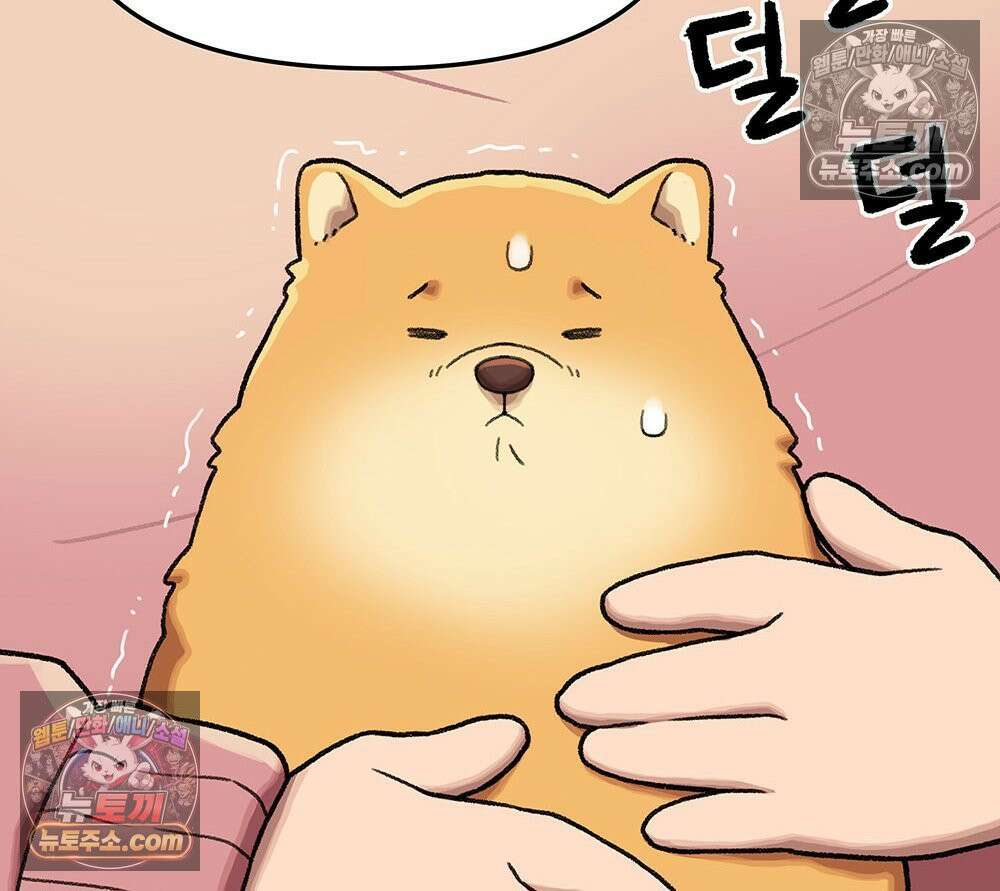 무지개다리 파수꾼 153화 48