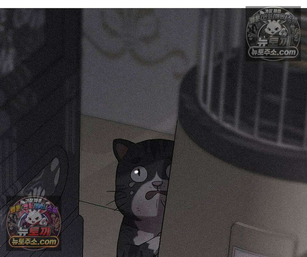 무지개다리 파수꾼 171화 71