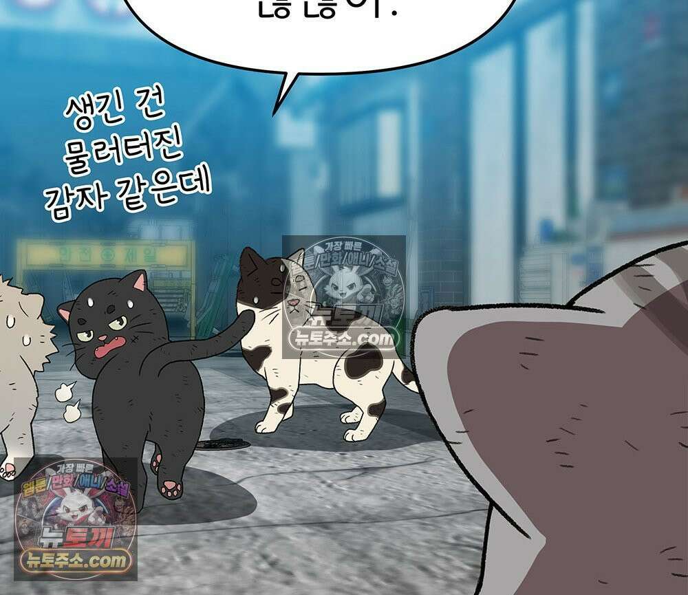 무지개다리 파수꾼 188화 47