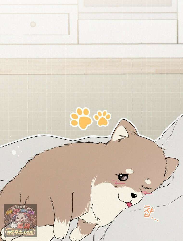 사춘기 : 너를 생각하는 봄 좋아하는 강아지 있어? 23