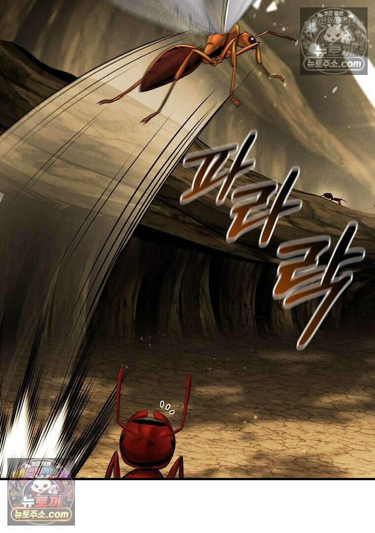 개미 18화 11