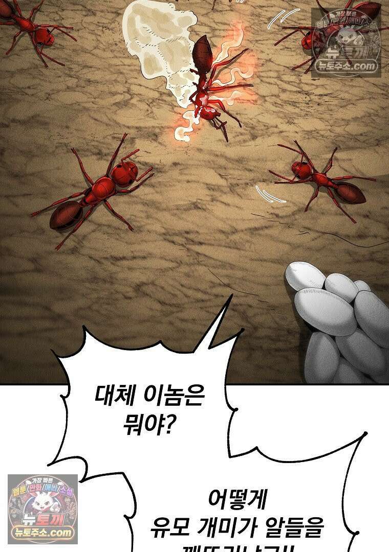 개미 18화 25