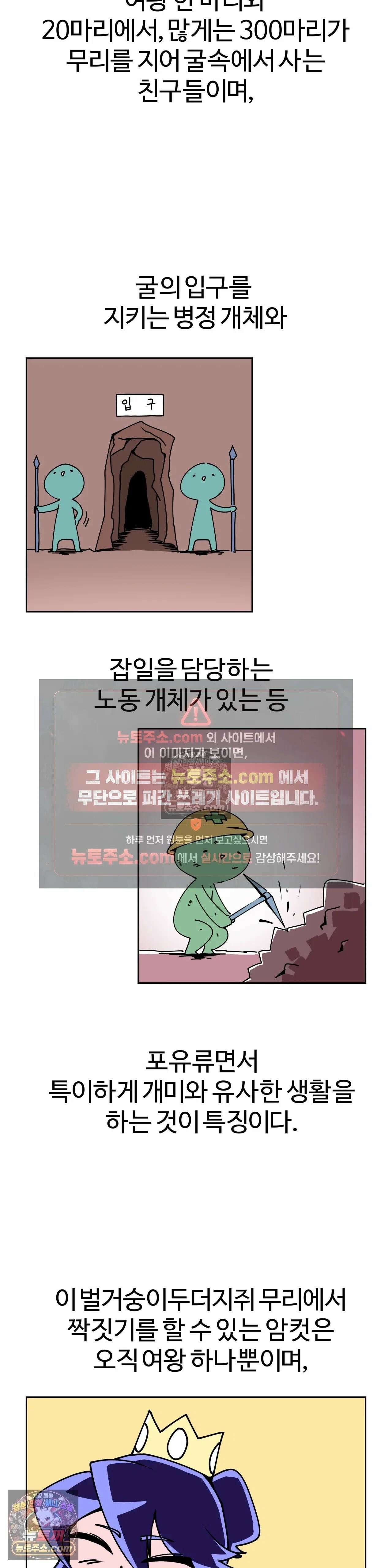 이 무슨 대자연인가 25화 - 벌거숭이두더지쥐(상) 6