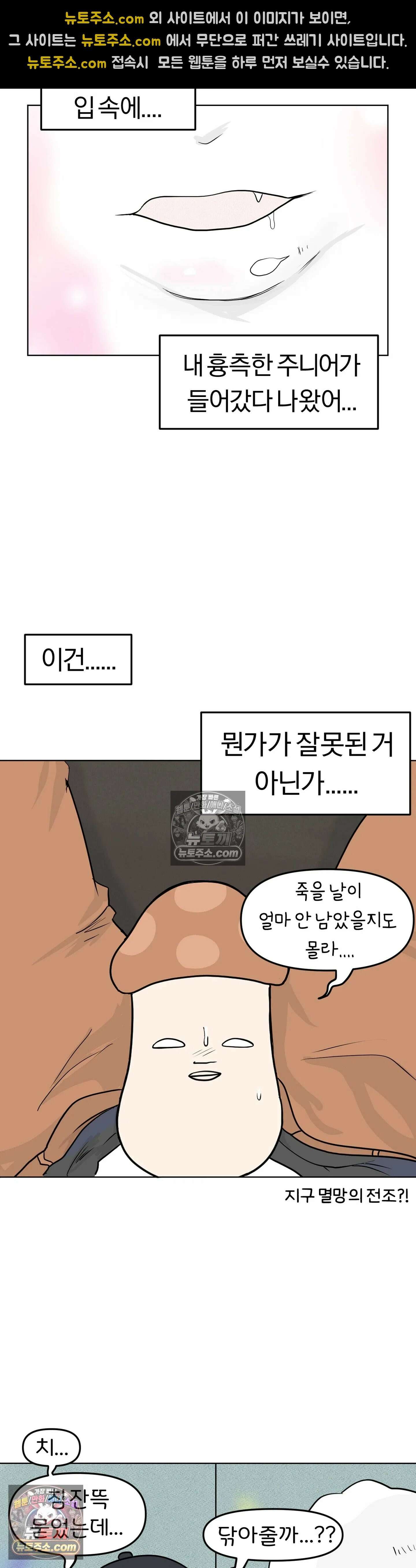 매운맛 커플 귤이 걸 처음 봤어요 7