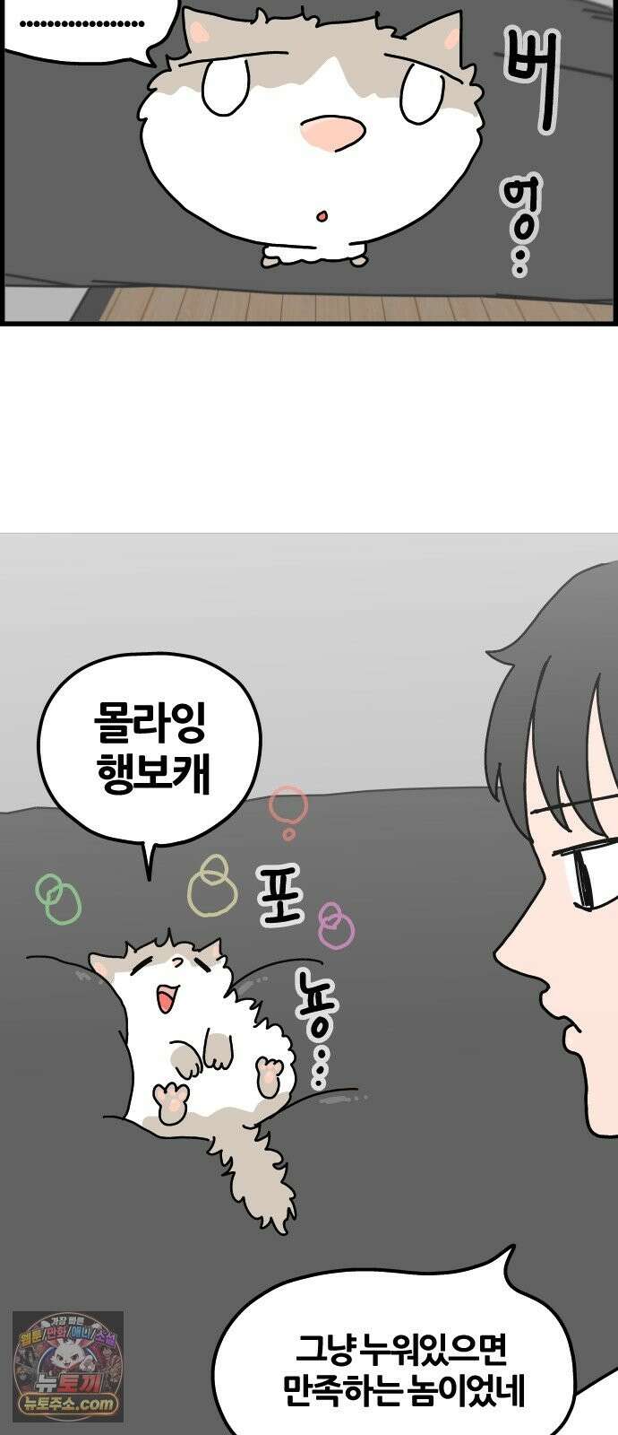 사회초년캣 11화 고시원 3