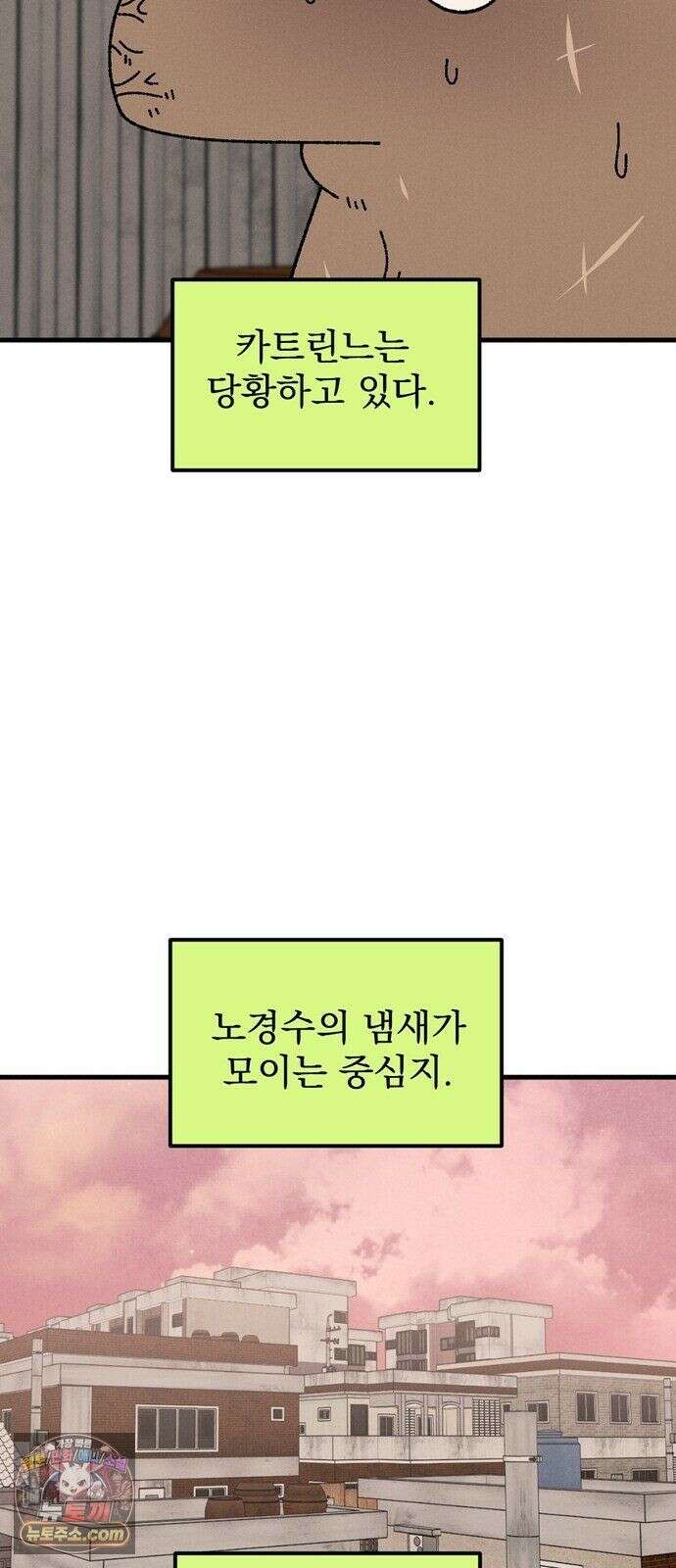 티라노 노경수 65크아앙 8