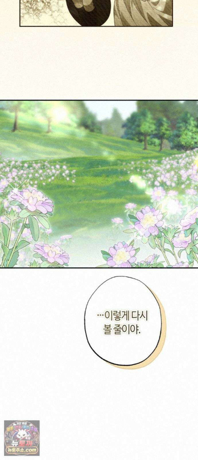 마녀의 눈물은 독이 된다 35화 29