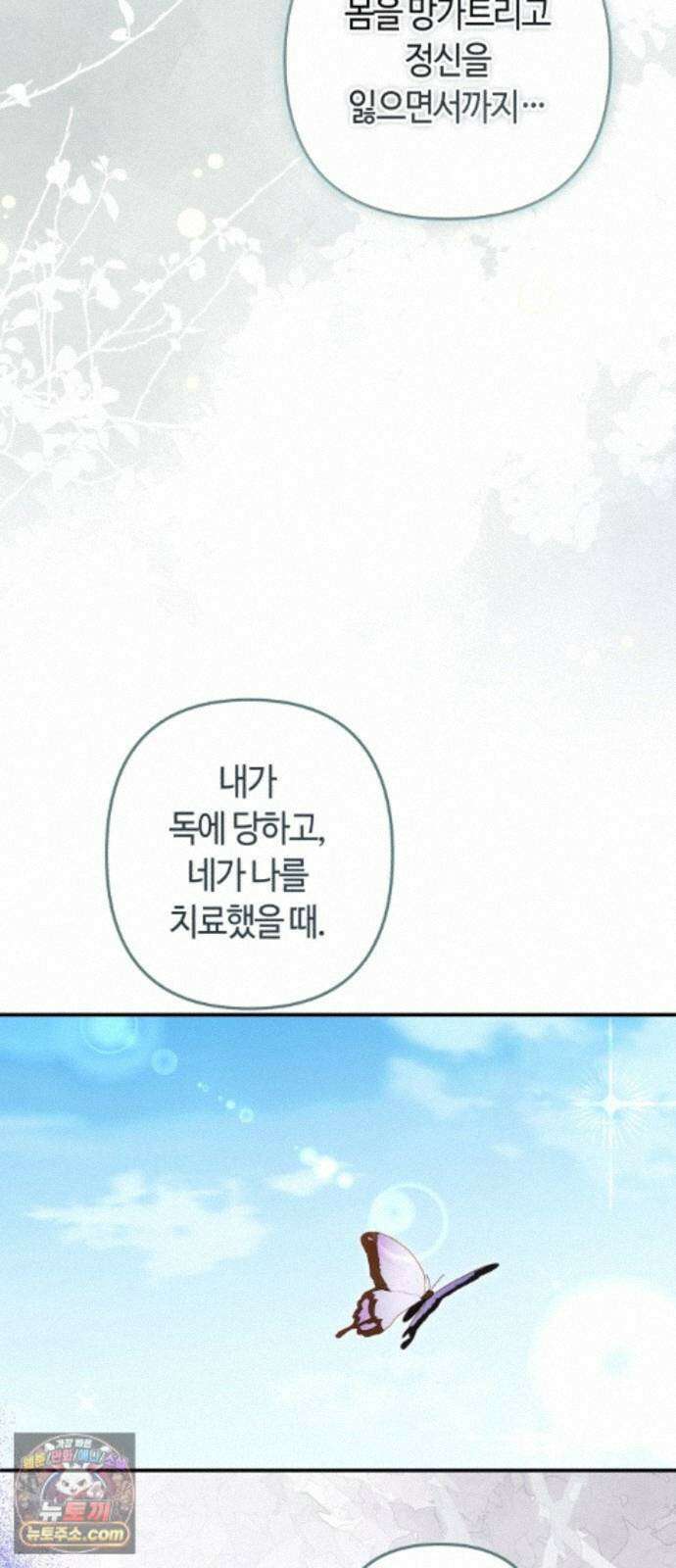 마녀의 눈물은 독이 된다 35화 47