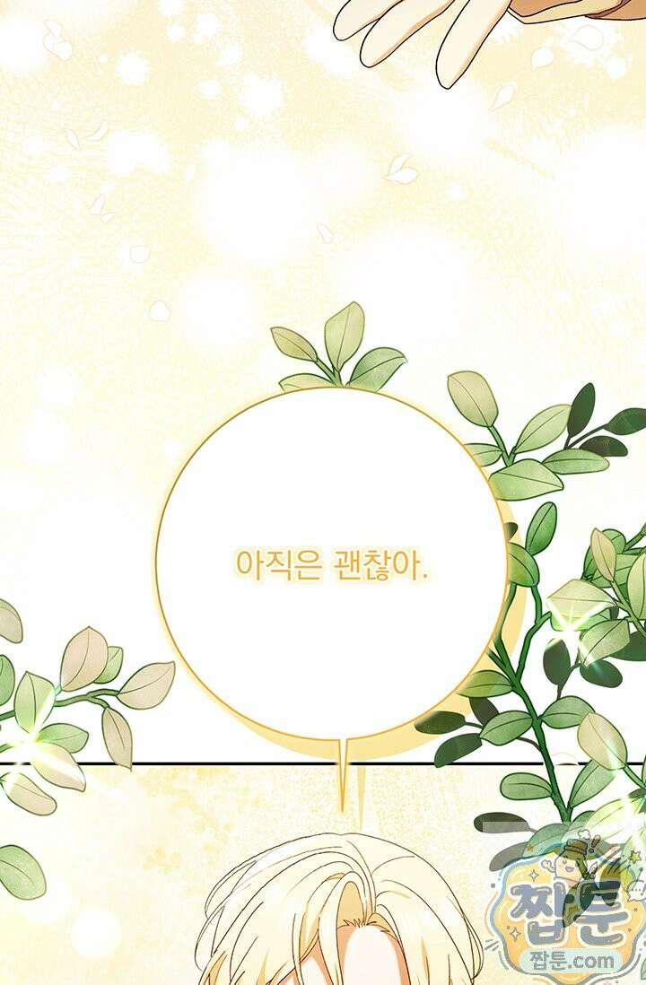 한 줄짜리 영애였을 터 261화 46