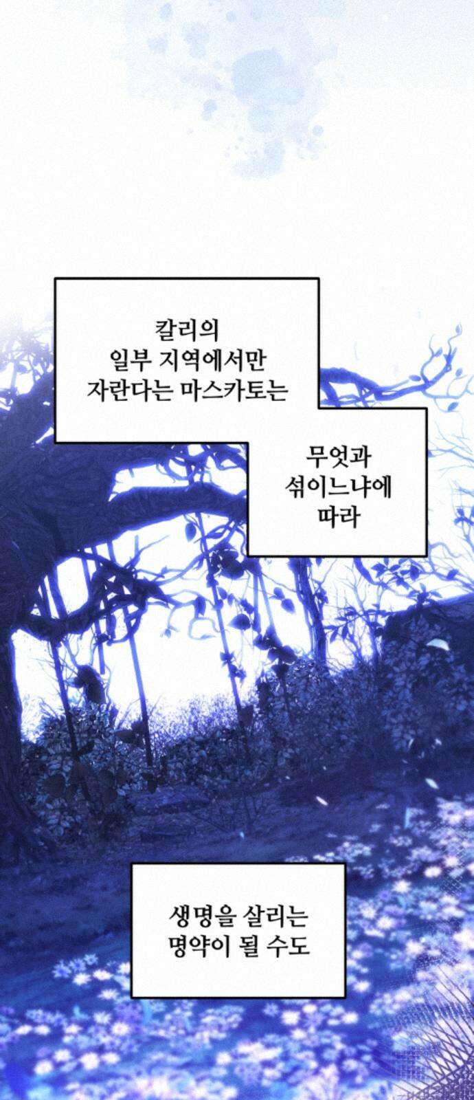 복수를 위한 결혼동맹 85화 5