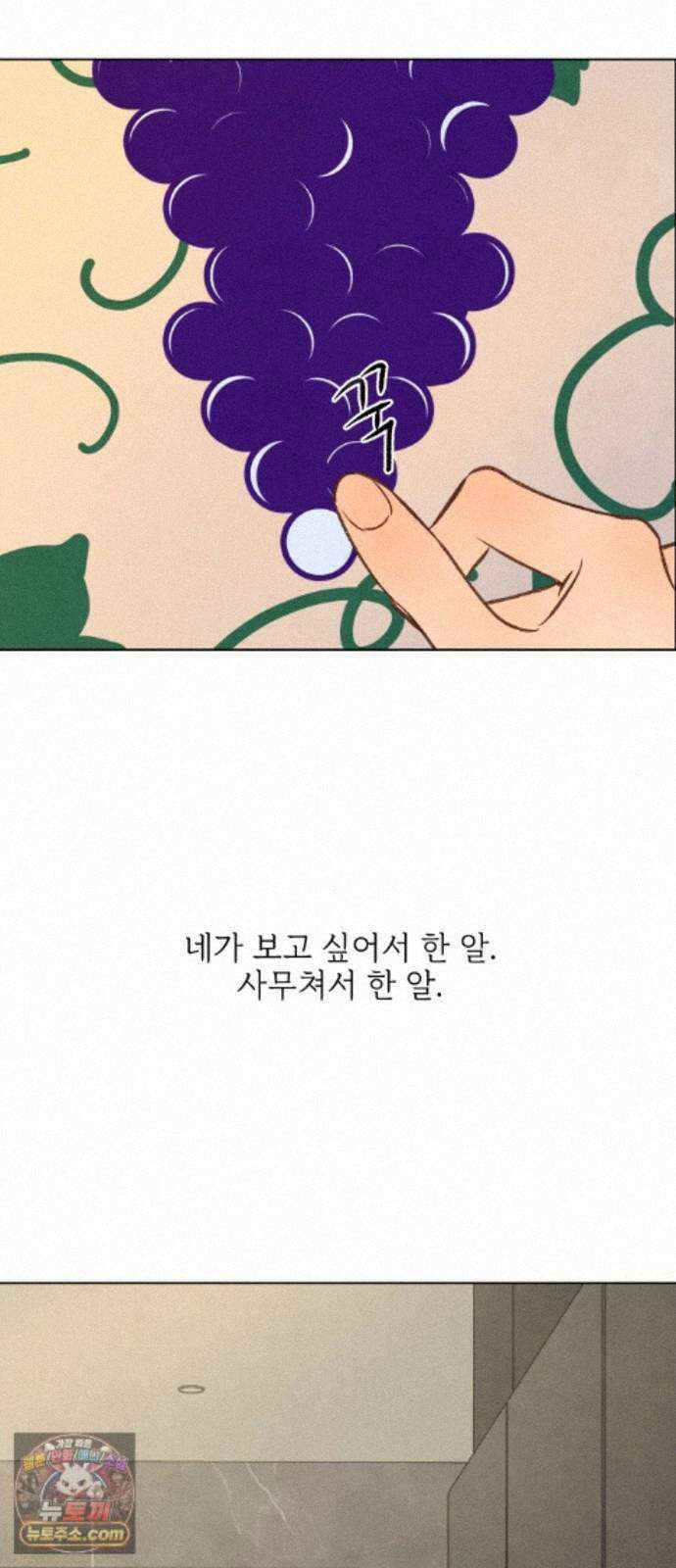 포도가 익기 전에 42화 22