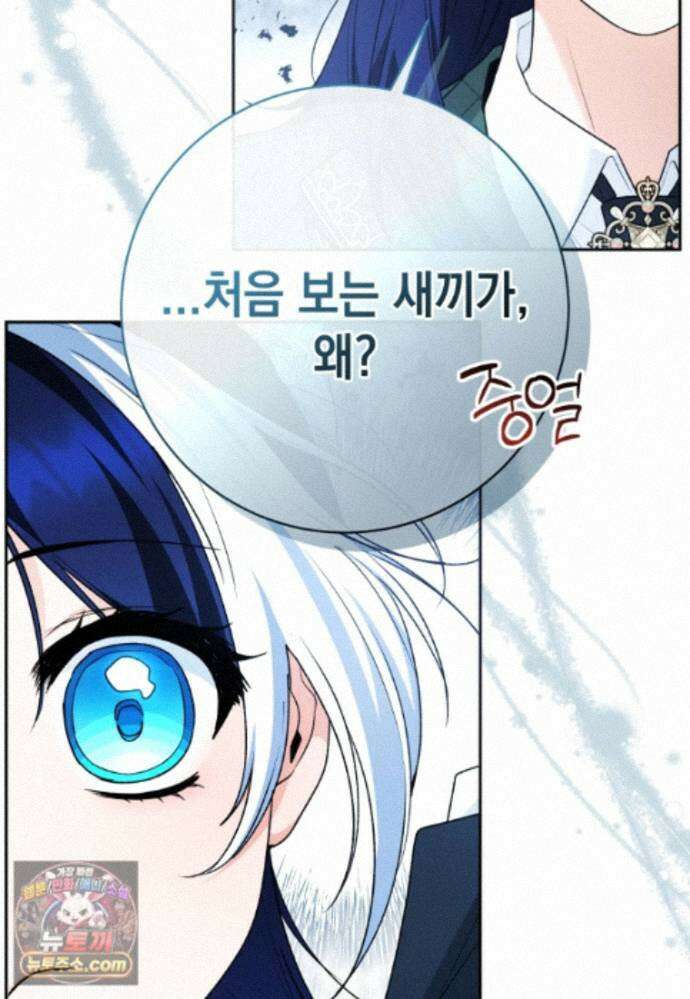 흑막 범고래 아기님 111화 102