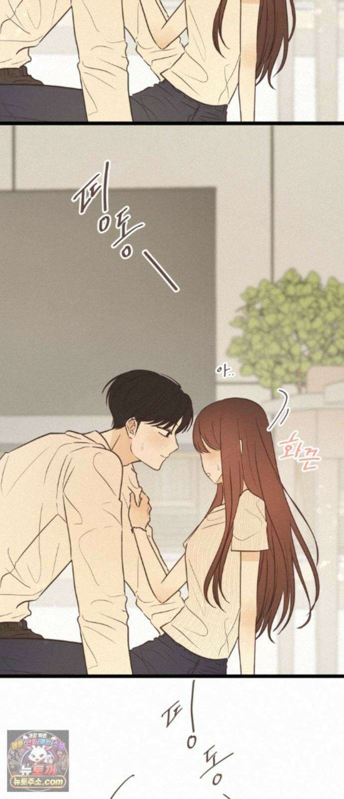 레모네이드 41화 좋아해서 8
