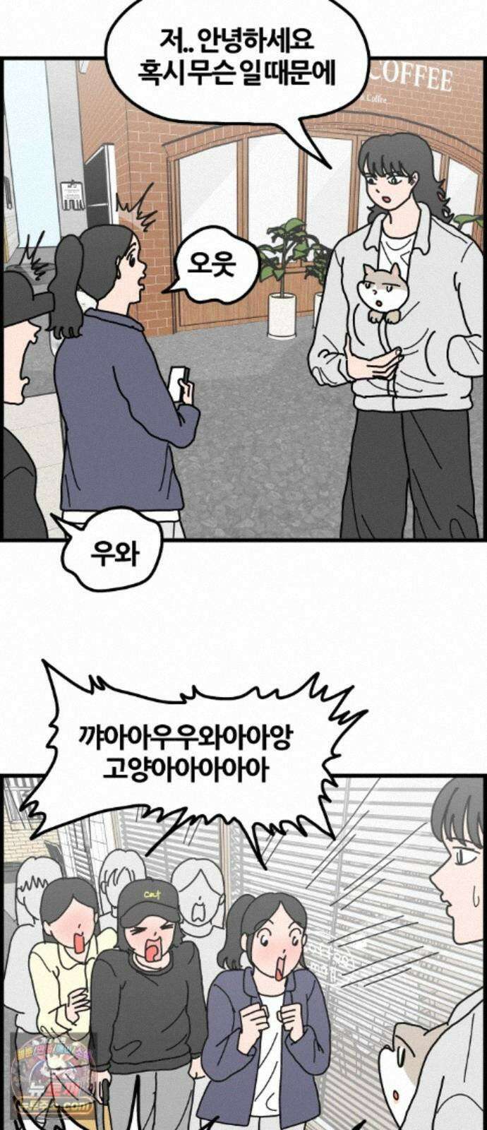 사회초년캣 17화 홍보 2