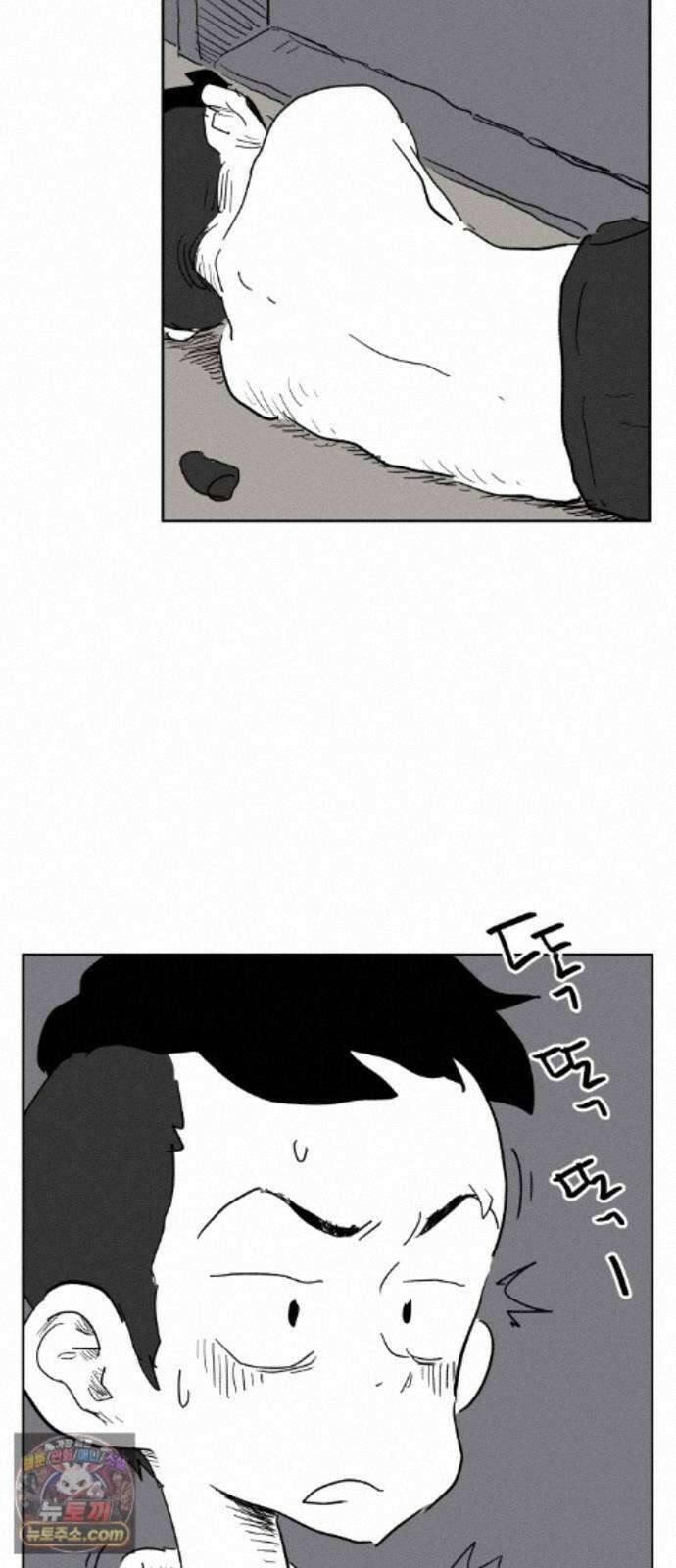 뻐꾸기는 운다 8 5