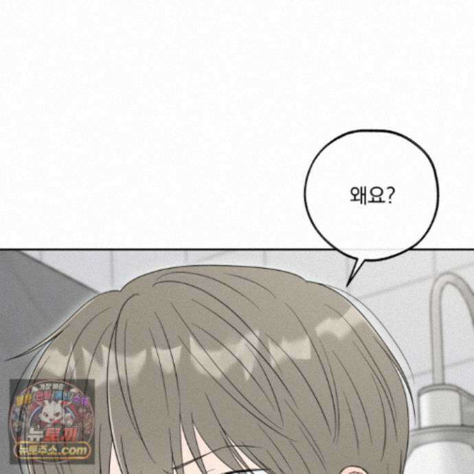 냥자친구 길들이기 41화 23