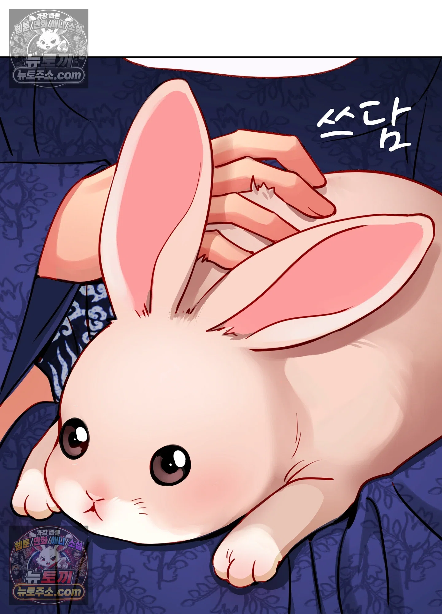 연지곤지  10화 22