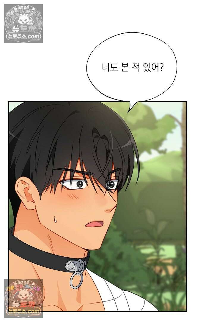 사육실의 수컷들 20화 70