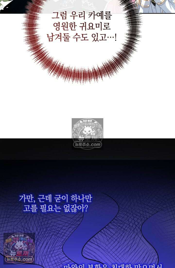 마법도 못 쓰는 악역 영애로 환생했습니다 12화 12