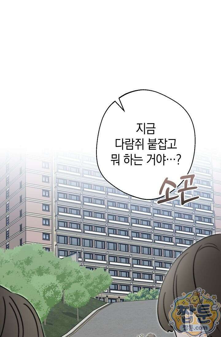 외로운 다람쥐도 제 굴이 있다 12화 11