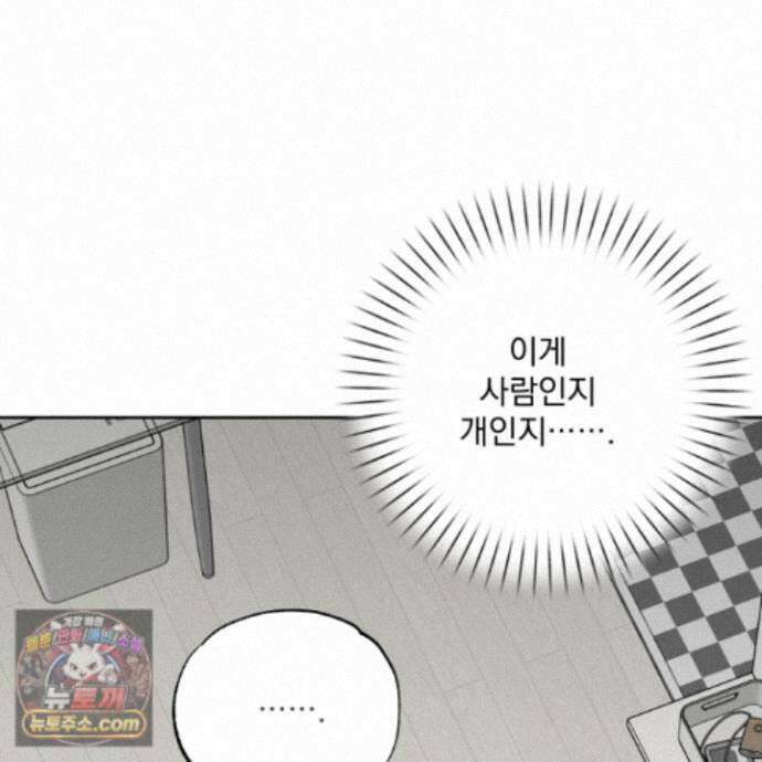 냥자친구 길들이기 42화 13