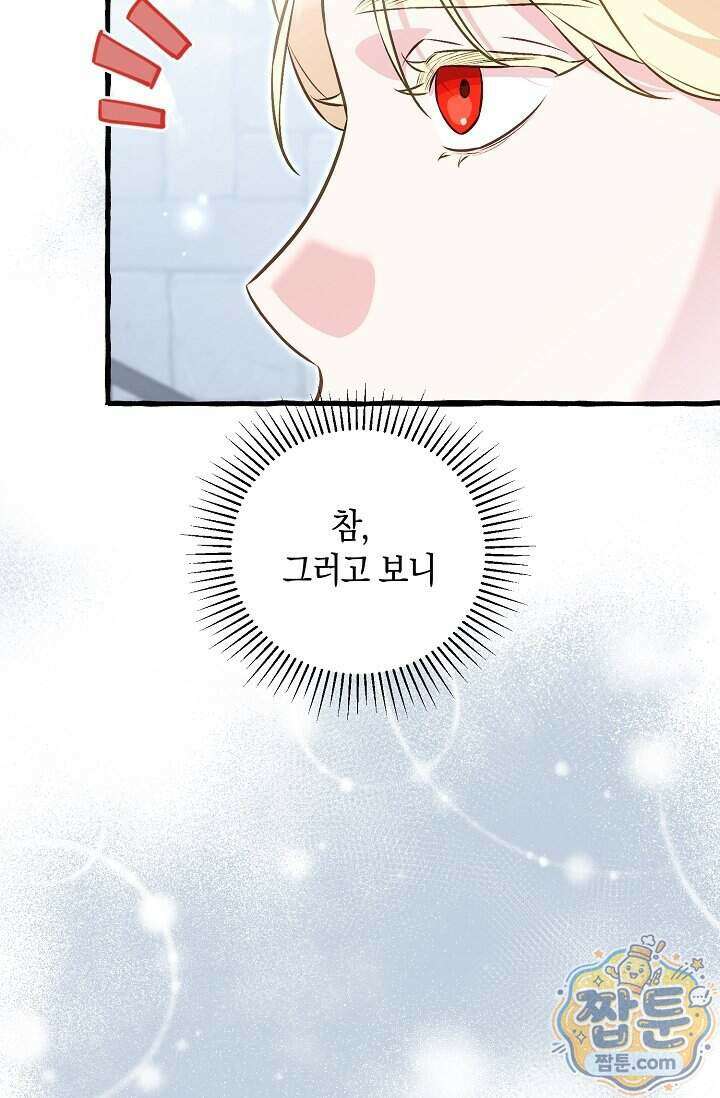 공작 부부에겐 비밀이 있다 13화 86