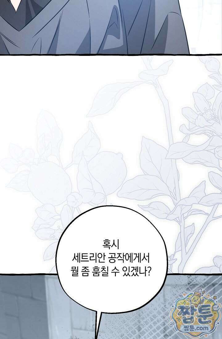 공작 부부에겐 비밀이 있다 13화 93