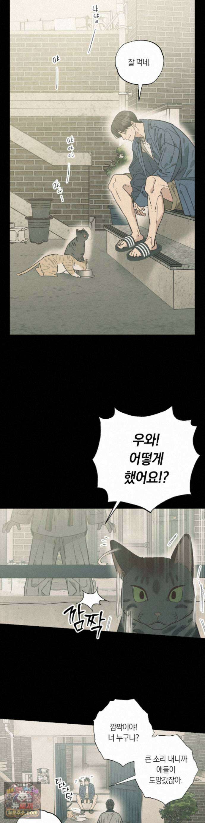 상호간택 28화 4
